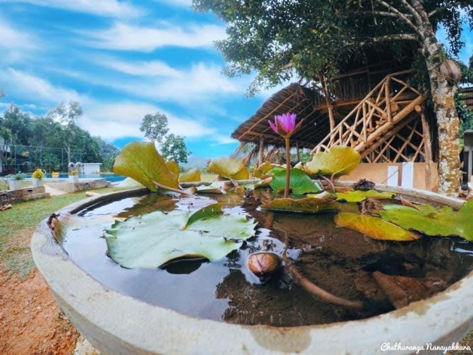 Tea Garden Eco Villas Morawaka Экстерьер фото